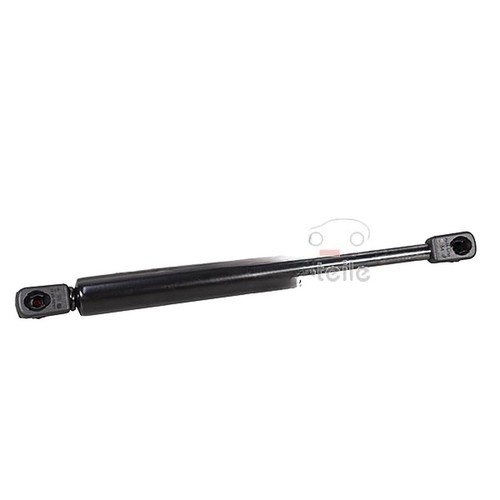 Molla gas bagagliaio 252 mm - gas,